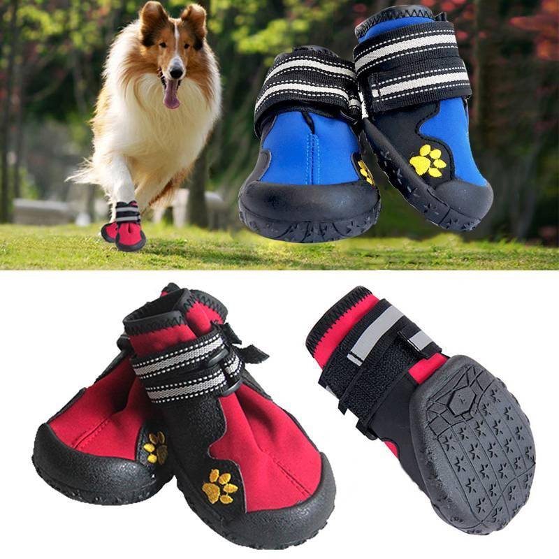 Rubber Running Shoes For Dogs